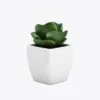 product-image-9_optimized